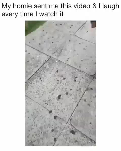 My homie sent me this video & I laugh
every time I watch it