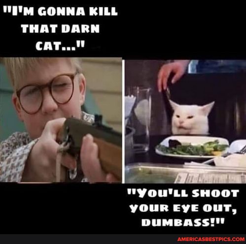 GONNA KILL THAT DARN CAT..."
"you'LL SHOOT YOUR EYE ouT,
