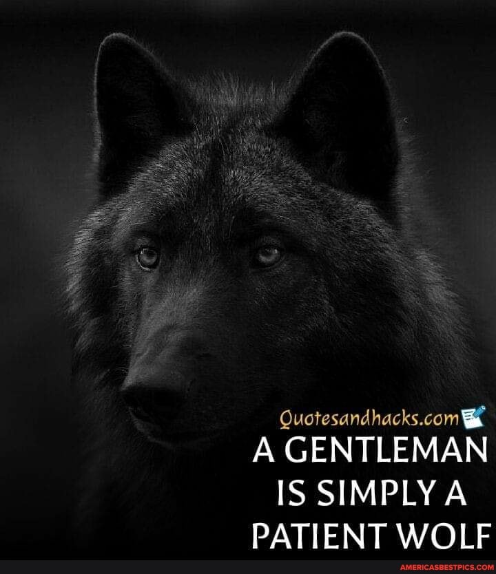 Quotesandhacks.comt
A GENTLEMAN IS SIMPLY A PATIENT WOLF