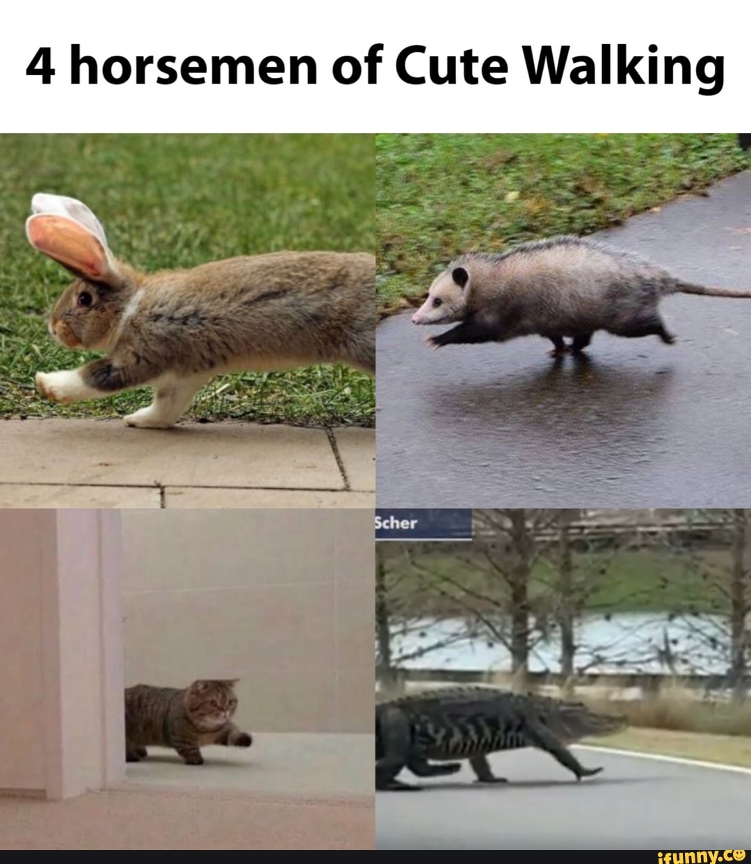 4 horsemen of Cute Walking