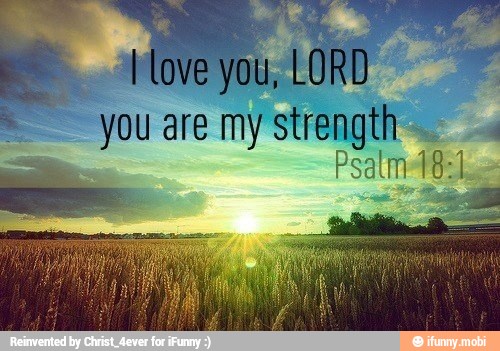 are my
strength 4 Palma