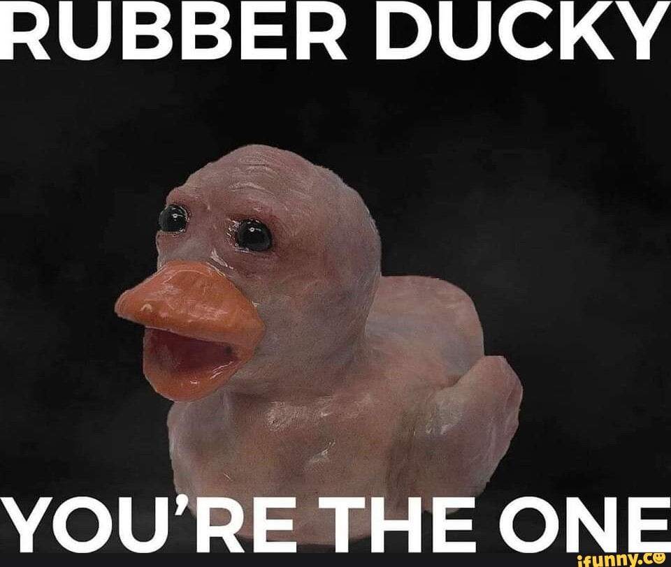 RUBBER DUCKY YOU'RE THE ONE iFunny