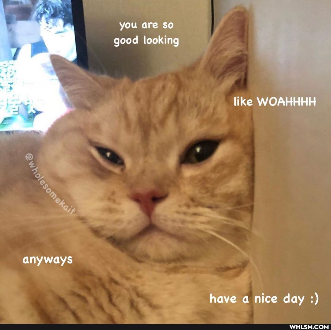 you are so
good looking
like WOAHHHH
anyways
have a nice day