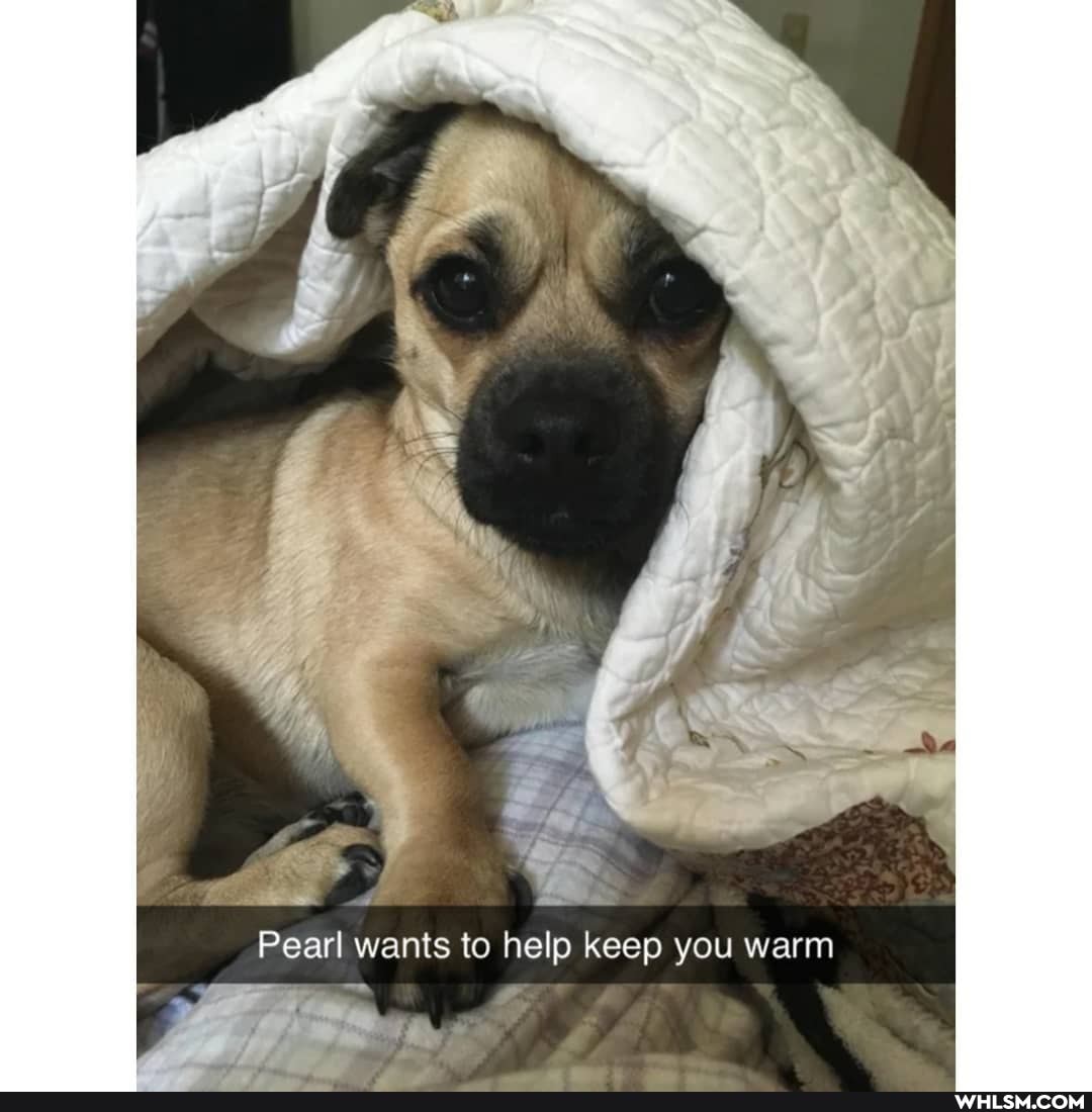 Pearl wants to help keep you warm