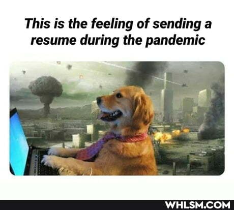 This is the feeling of sending a resume during the pandemic