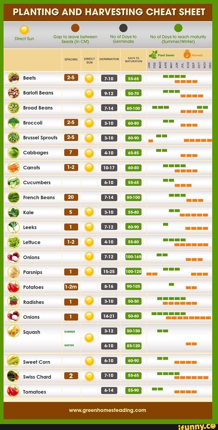 PLANTING AND HARVESTING CHEAT SHEET Gap toleave between No.of Daysto No