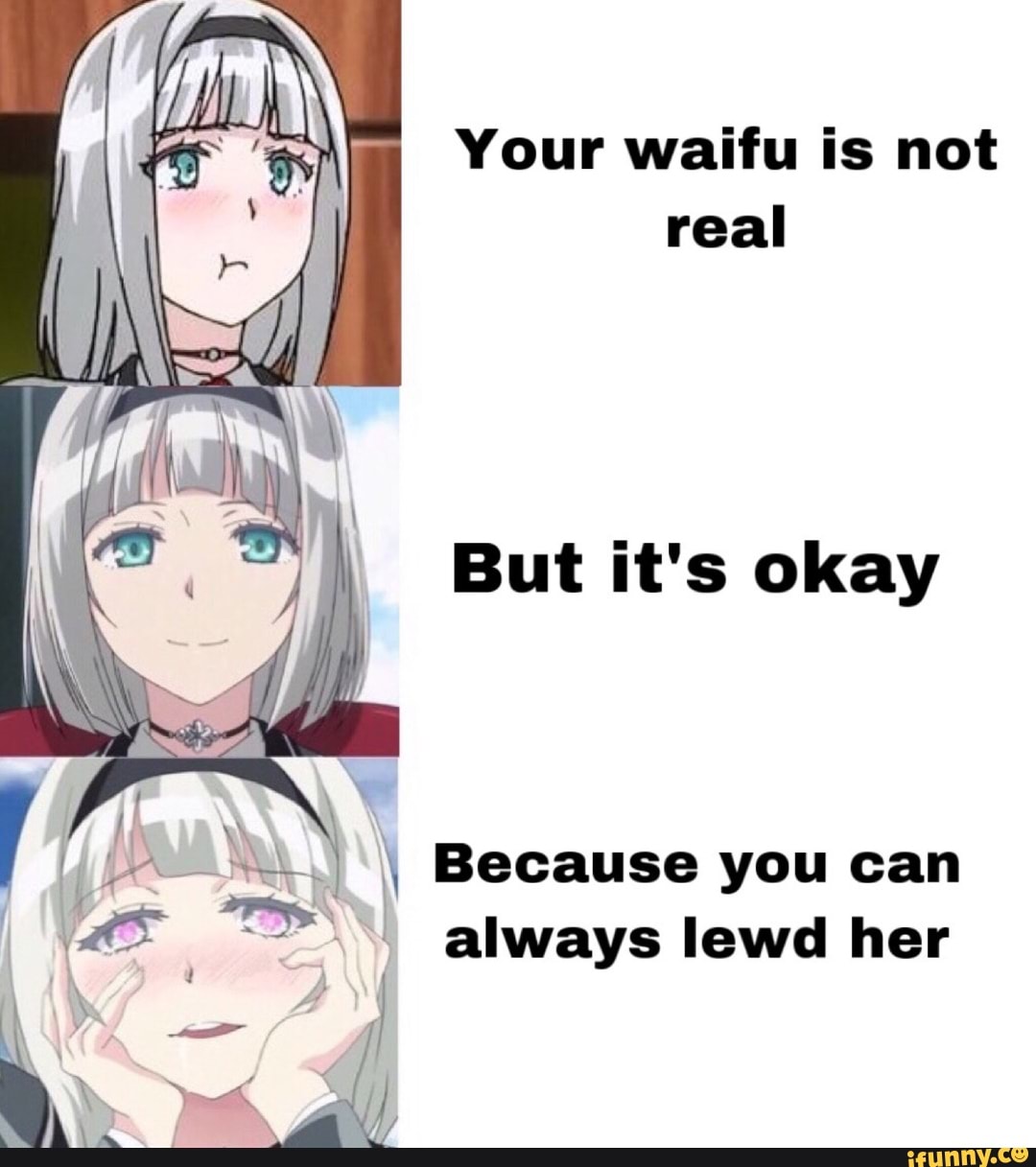 Your Waifu Is Not Real But It S Okay Because You Can Always Lewd Her Ifunny