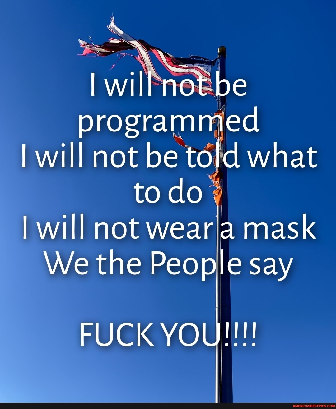 will not be programmed
I will not be told what to do will not wear a mask
We the People say
FUCK YOU!!!