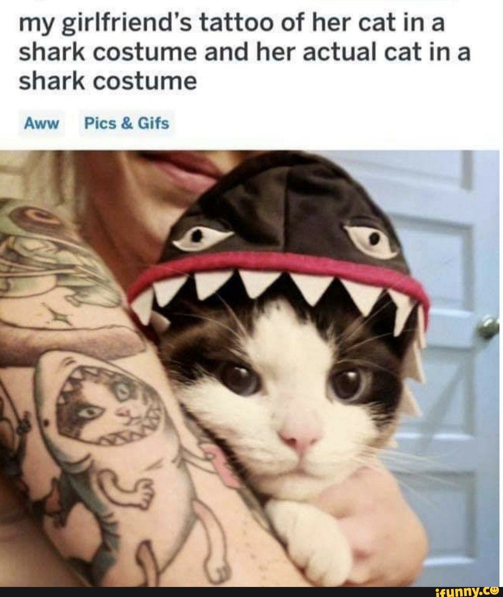 my girlfriend's tattoo of her cat in a shark costume and her actual cat in a shark costume
Auw Pics & Gifs