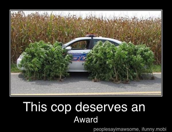 This cop deserves an
Award - This cop deserves an
Award