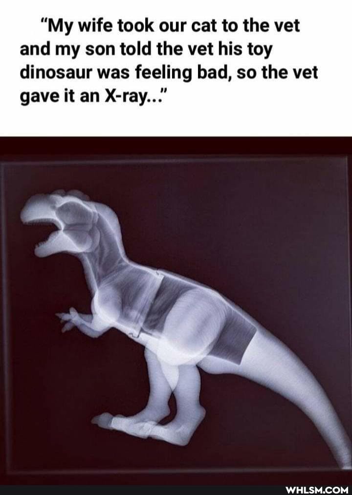 "My wife took our cat to the vet and my son told the vet his toy dinosaur was feeling bad, so the vet gave it an X-ray..."
