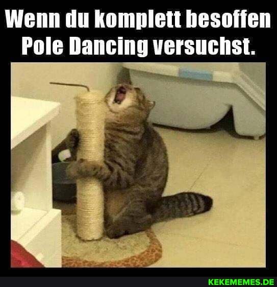Wenn du komplett besoffen
Pole Dancing versuchst.