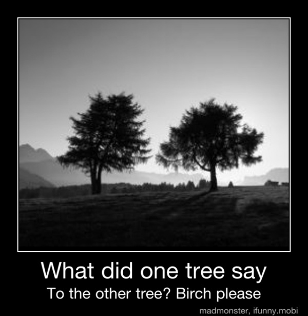 What did one tree say To the other tree? Birch please What did one