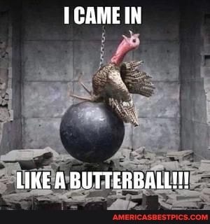 CAME IN
UKE A BUTTERBALLH!