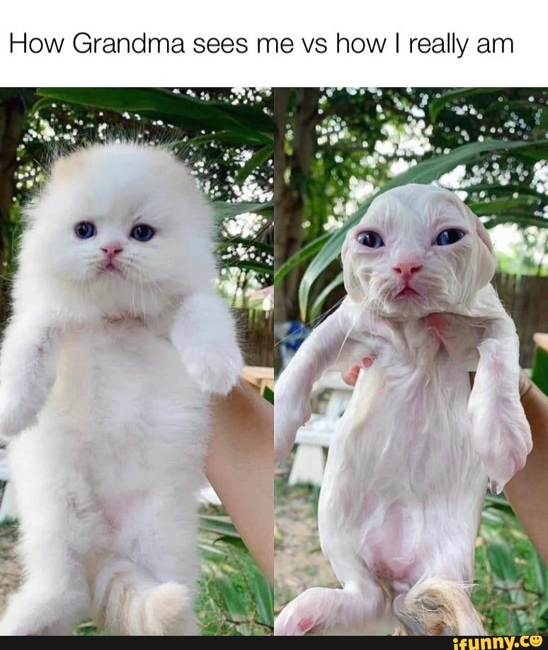 How Grandma sees me vs how I really am