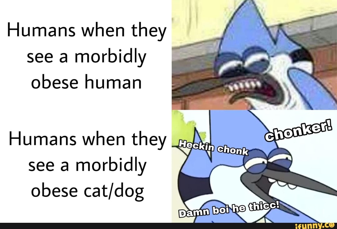 Humans when they
see a
morbidly
obese human
Humans when they
see a
morbidly
obese cat/dog