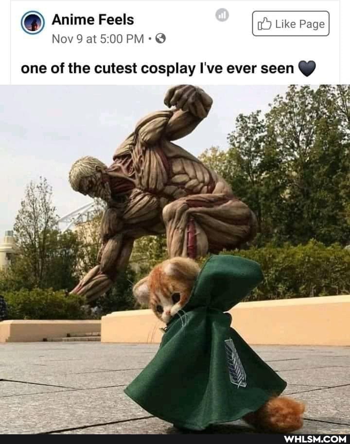 Anime Feels
Nov 9 at PM: @
one of the cutest cosplay I've ever seen @