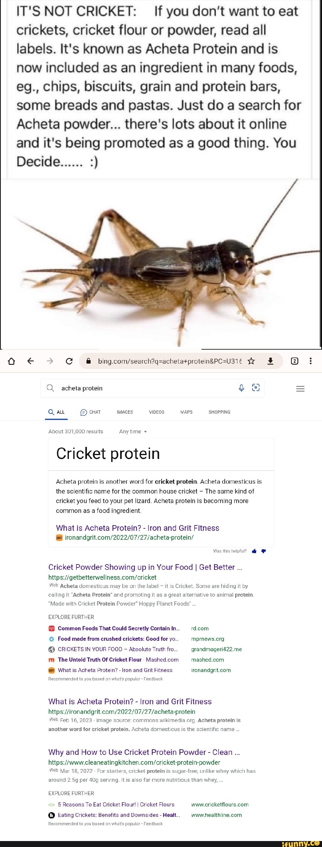 IT'S NOT CRICKET If you don't want to eat crickets, cricket flour or