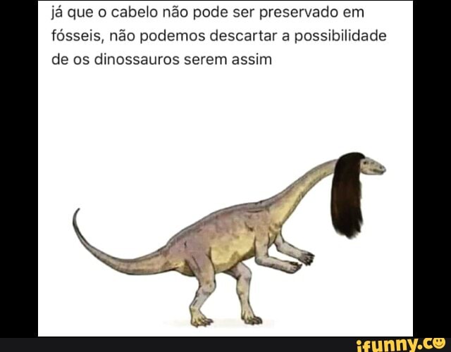 já que o cabelo não pode ser preservado em
fósseis, não podemos descartar a possibilidade
de os dinossauros serem assim