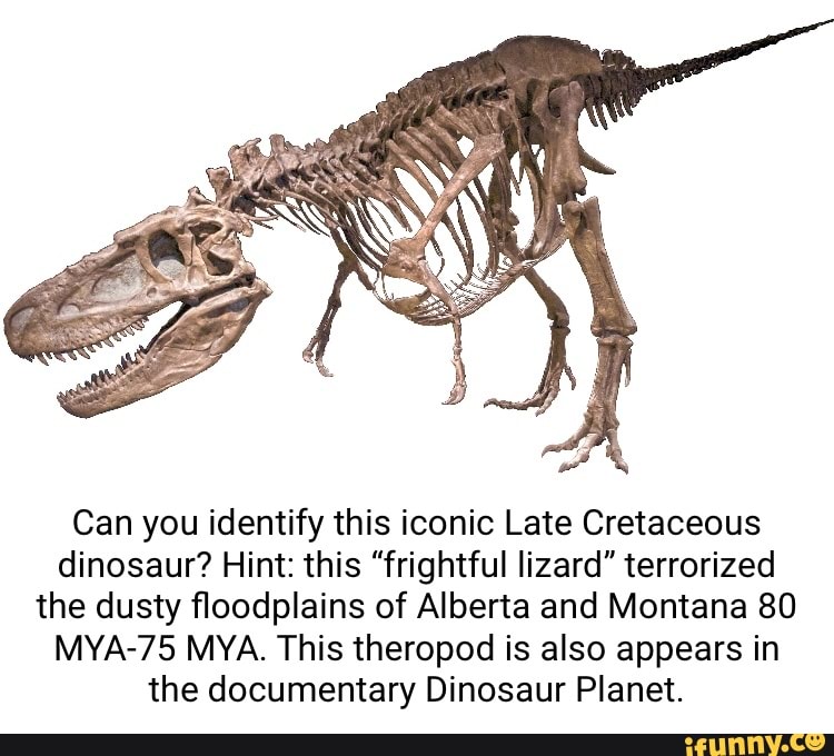 Can you identify this iconic Late Cretaceous dinosaur? Hint: this ...