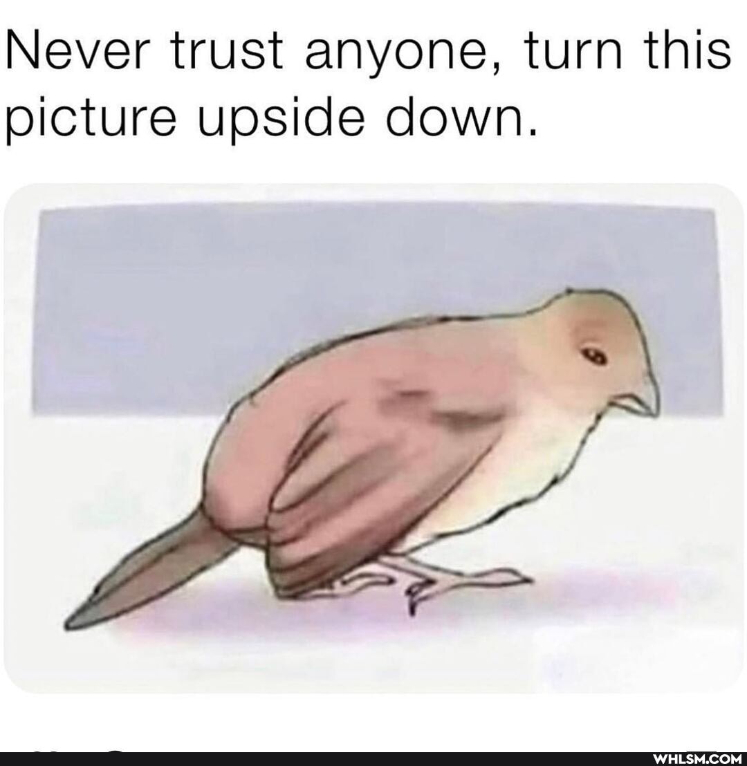 Never trust anyone, turn this picture upside down.