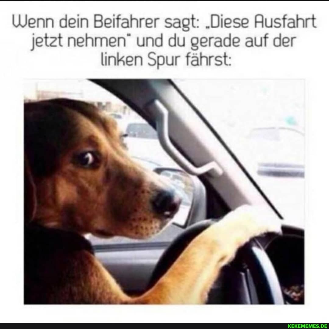Wenn dein Beifahrer sagt: "Diese Ausfahrt jetzt nehmen" und du gerade auf der linken Spur fährst: