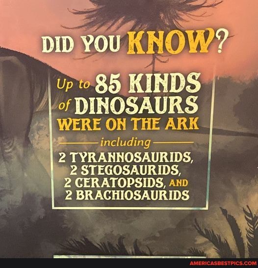 WTF? - DID Up of DINOSAURS WERE ON including 2 TYRANNOSAURIDS ...