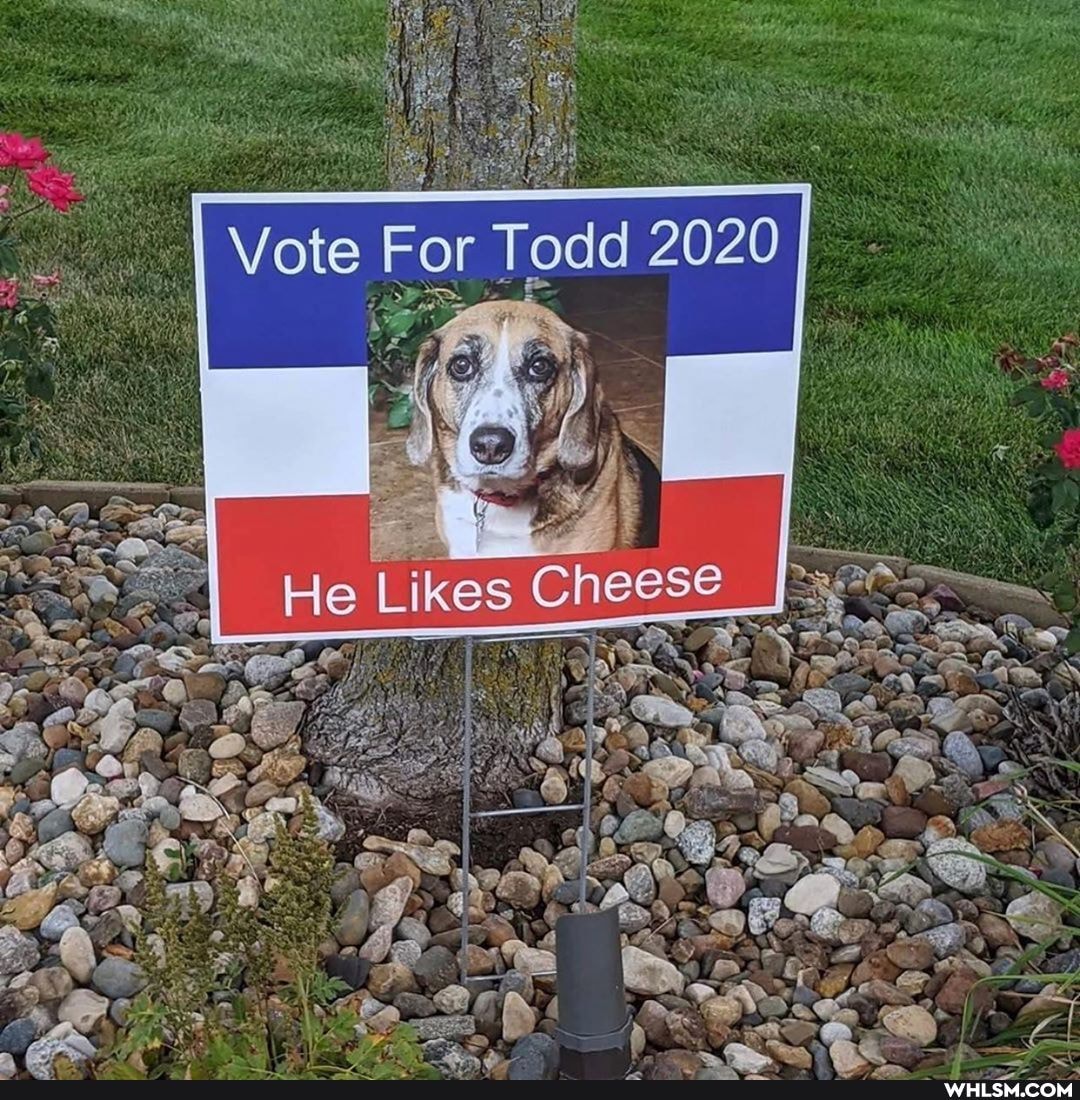 Vote For
odd
Ne
OS
Li
Cheese
SS
oN