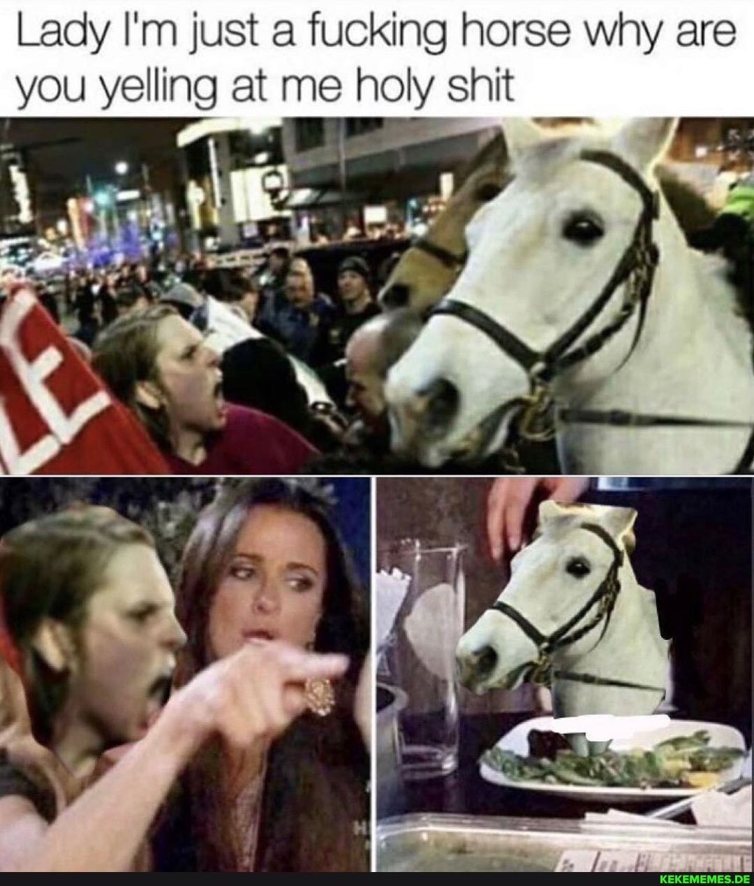 Lady I'm just a fucking horse why are you yelling at me holy shit