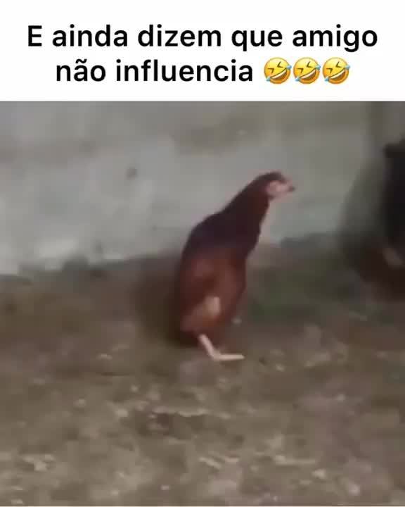 Coisas que eram hype e ninguém (mera hype Danoninho Ice - iFunny Brazil