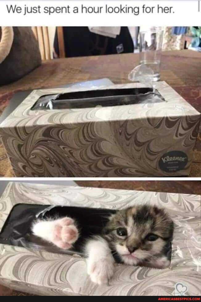 We just spent a hour looking for her. I