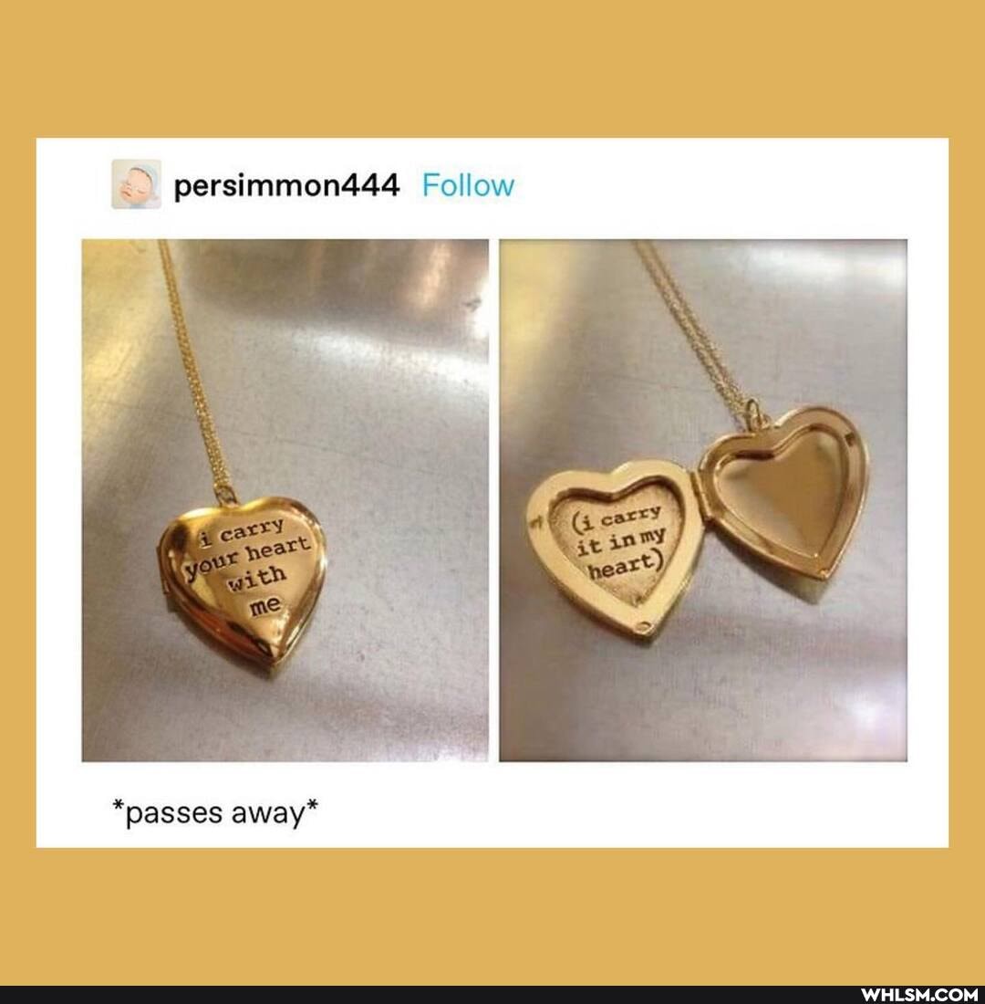 persimmon444 Follow
"passes away"