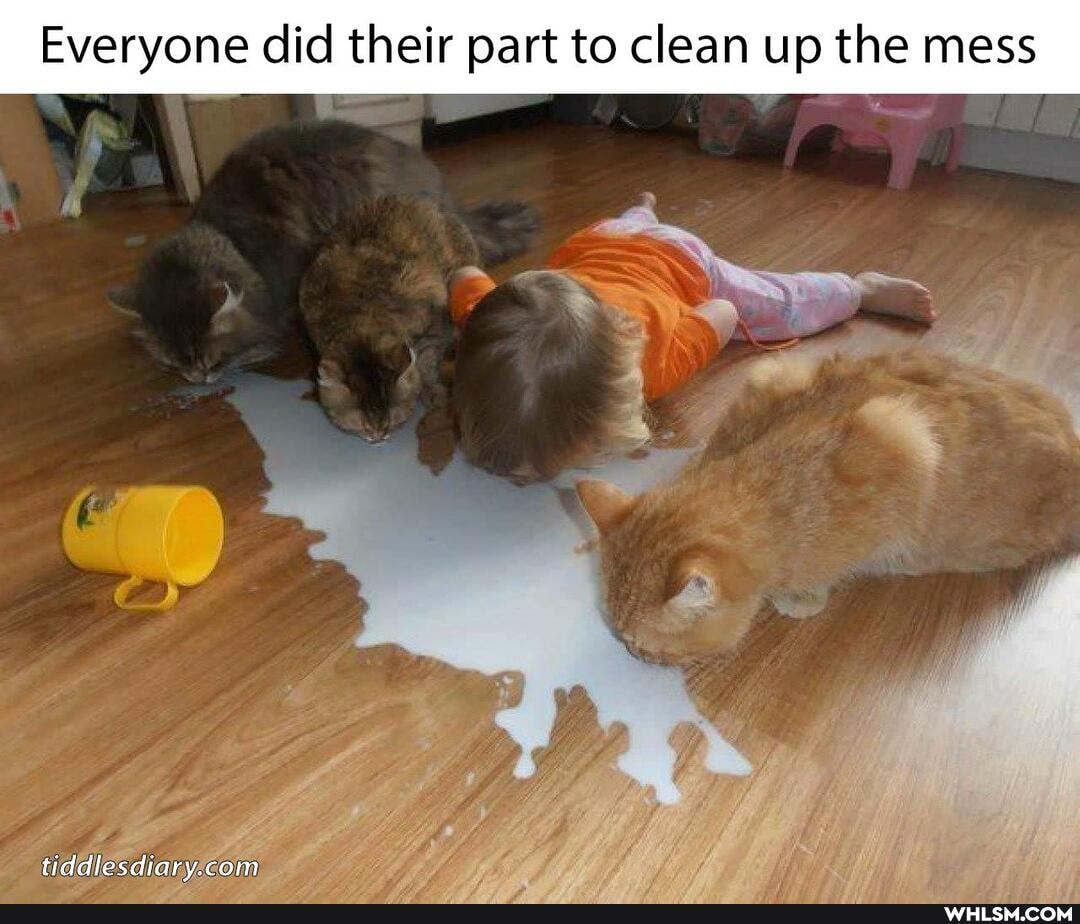 Everyone did their part to clean up the mess