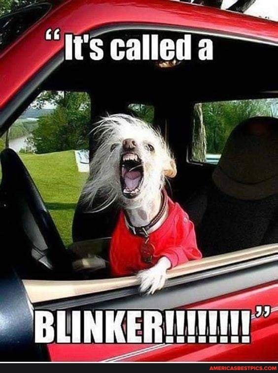 'It's called a
BLINKER