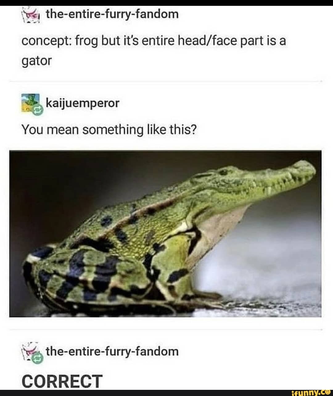 'we, theentirefurryfandom concept frog but it's entire part is a