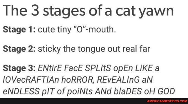 The 3 stages of a cat yawn
Stage 1: cute tiny
Stage 2: sticky the tongue out real far
Stage 3: ENtirE FacE SPLItS opEn LiKE a
lOVecRAFTIAn hoRROR, REVEALInG aN aNDI nIT Af naniNte ANA hlaNEe ali RON