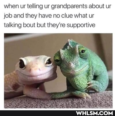 when ur telling ur grandparents about ur job and they have no clue what ur talking bout but they're supportive