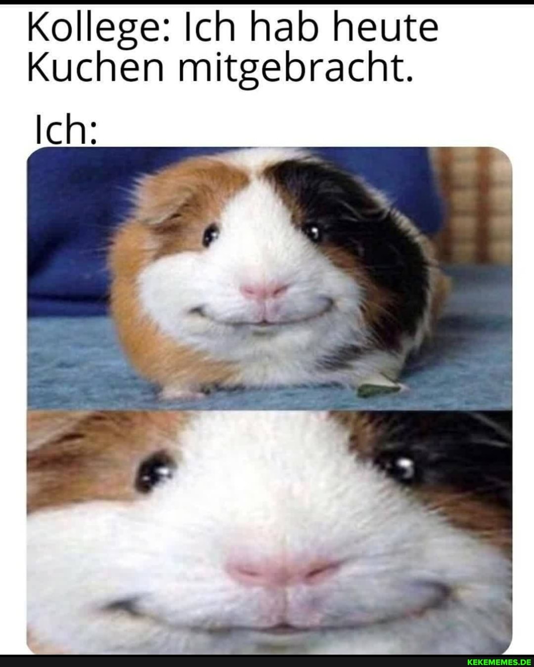 Kollege: Ich hab heute
Kuchen mitgebracht.
Ich: