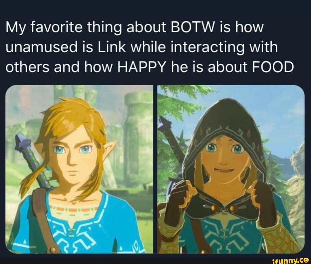 My favorite thing about BOTW is how unamused is Link while interacting ...