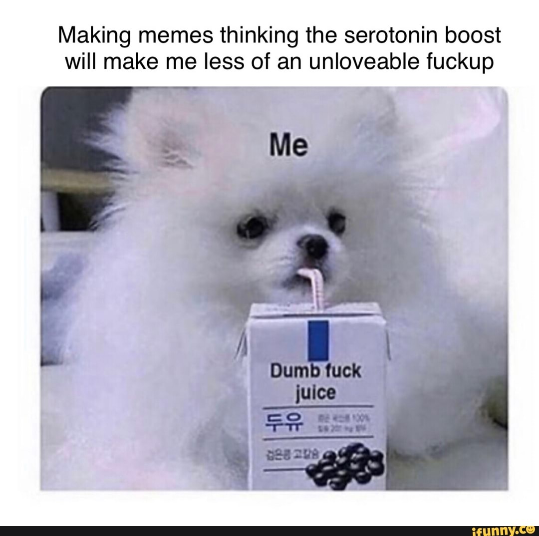 Making memes thinking the serotonin boost will make me less of an unloveable fuckup