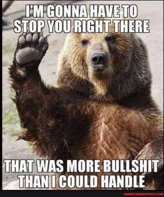 GONNA HAVETO STOP vou RIGHT THERE
THAT WAS MORE BULLSHET THAN COULD HANDLE.