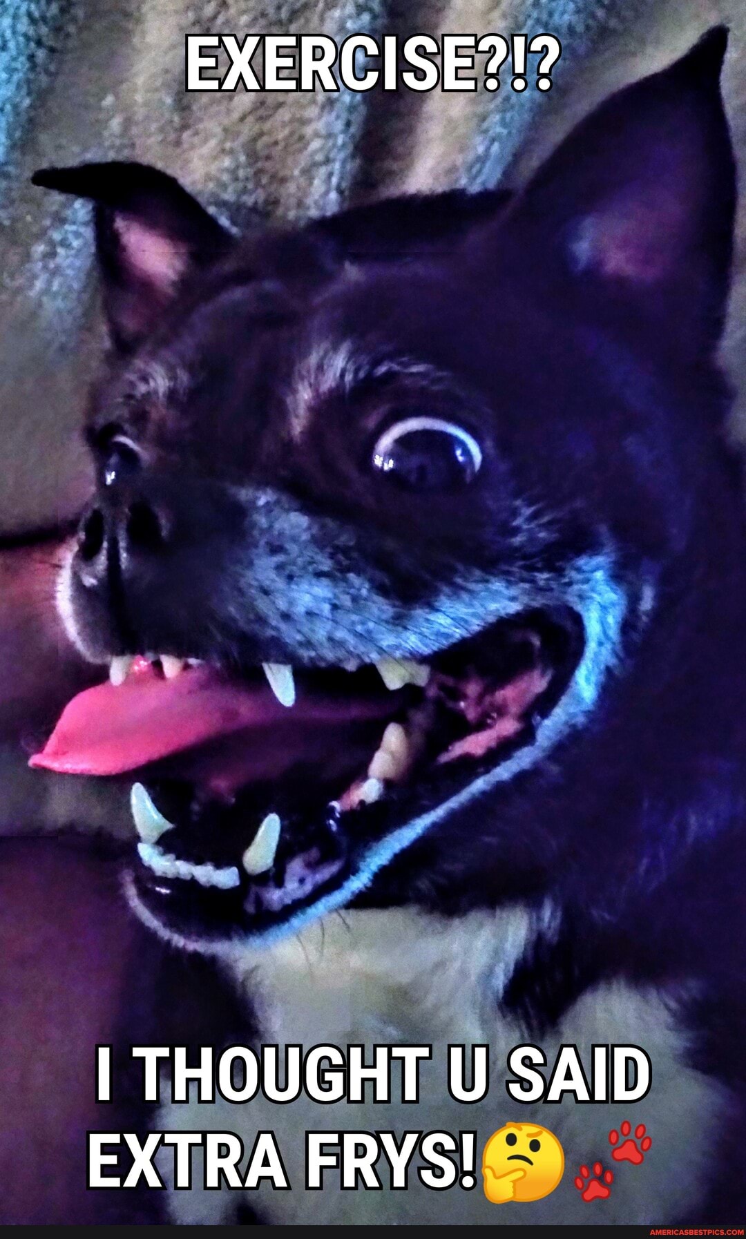 EXERCISE?!?
I THOUGHT U SAID EXTRA FRYS!