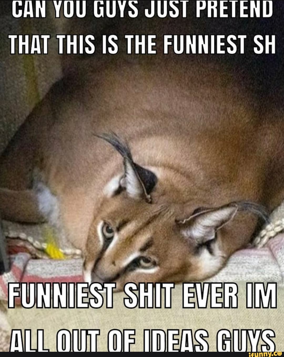 GAN YOU GUYS JUST PRETEND THAT THIS IS THE FUNNIEST SH FUNNIEST SHIT gan-you-guys-just-pretend-that-this-is-the-funniest-sh-funniest-shit