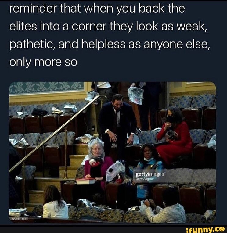 reminder that when you back the elites into a corner they look as weak, pathetic, and helpless as anyone else,
only more so
nelly