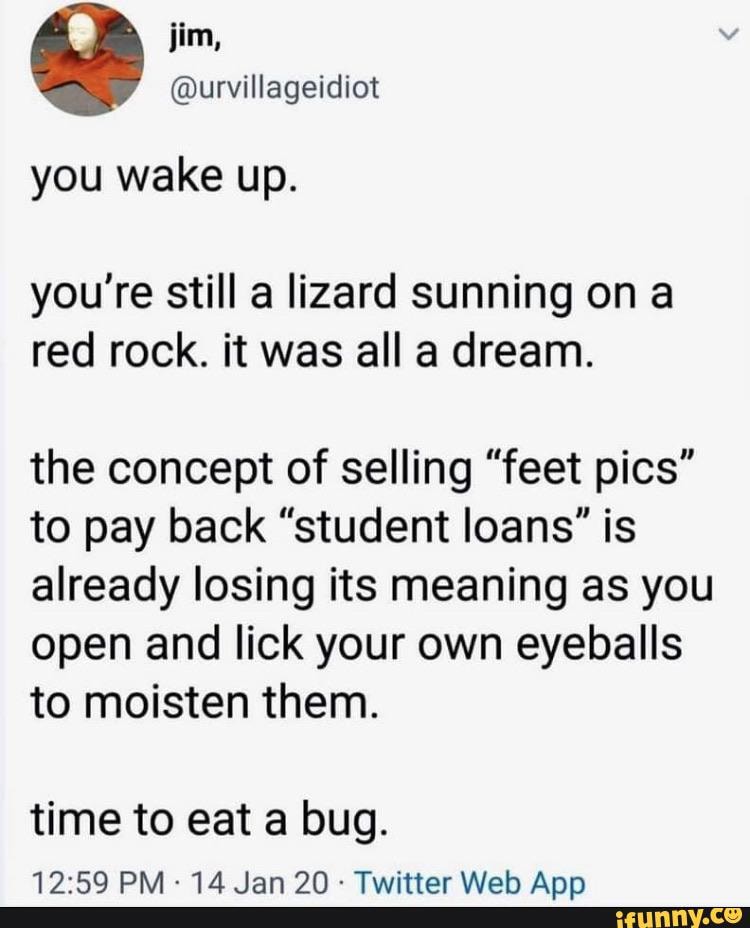 you wake up.
you're still a lizard sunning ona red rock. it was all a dream.
the concept of selling "feet pics" to pay back "student loans" is already losing its meaning as you open and lick your own eyeballs to moisten them.
time to eat a bug.
19-5Q lan ON. Twittar \Wloah Ann