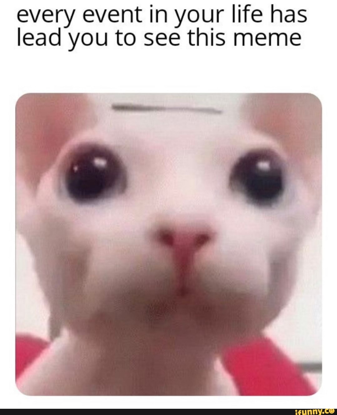 every event in your life has lead you to see this meme