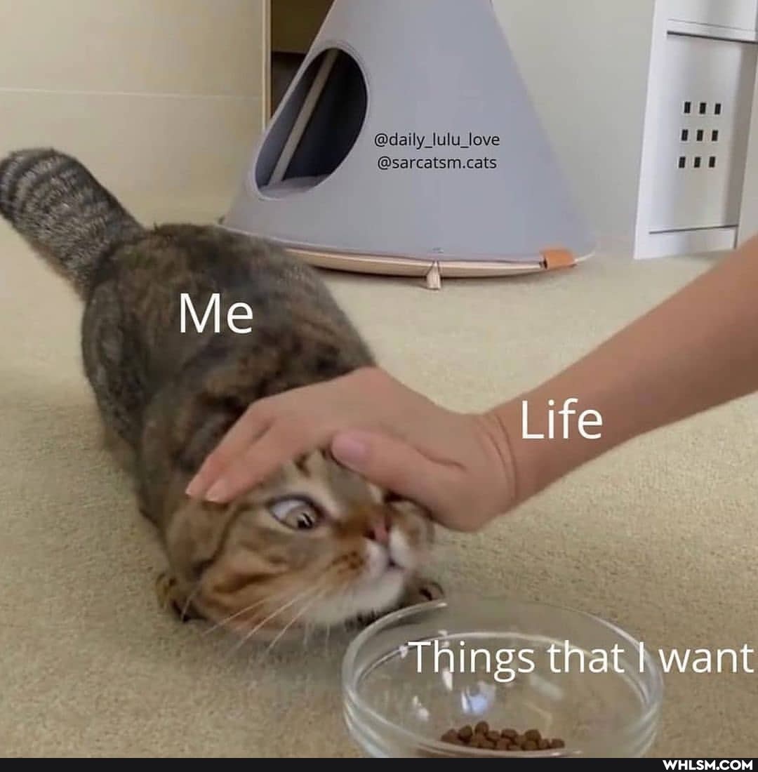 @sarcatsmcats
Vie
Life
Things that want