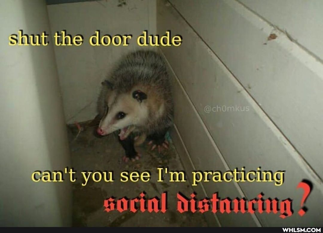 it the door dude
n't you see I'm practic