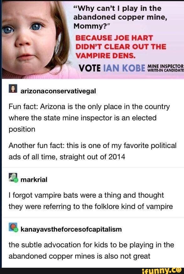 "Why can't play in the abandoned copper mine,
Mommy?"
BECAUSE JOE HART DIDN'T CLEAR OUT THE VAMPIRE DENS.
VOTE IAN KOBE
arizonaconservativegal
Fun fact: Arizona is the only place in the country where the state mine inspector is an elected position
Another fun fact: this is one of my favorite political ads of all time, straight out of 2014
markrial
I forgot vampire bats were a thing and thought they were referring to the folklore kind of vampire
kanayavstheforcesofcapitalism
the subtle advocation for kids to be playing in the abandoned copper mines is also not great