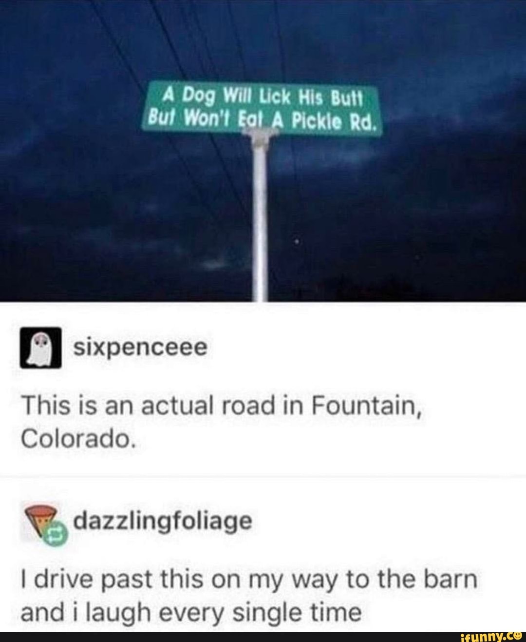 sixpenceee
This is an actual road in Fountain,
Colorado.
dazzlingfoliage
I drive past this on my way to the barn and i laugh every single time